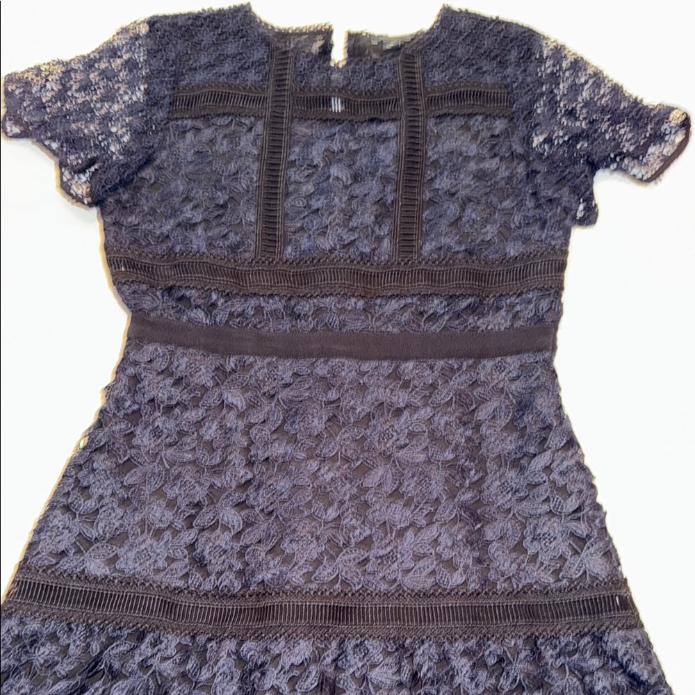 Ann Taylor Petite Navy and Black Floral Lace Dress